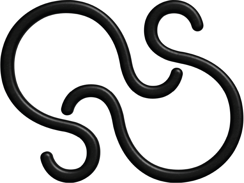SNAVE CORP